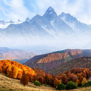 Das Bild zeigt einen Weitblick in ein bewaldetes Tal mit herbstlichen Tönen und einem mit Bergpanorama im Hintergrund.