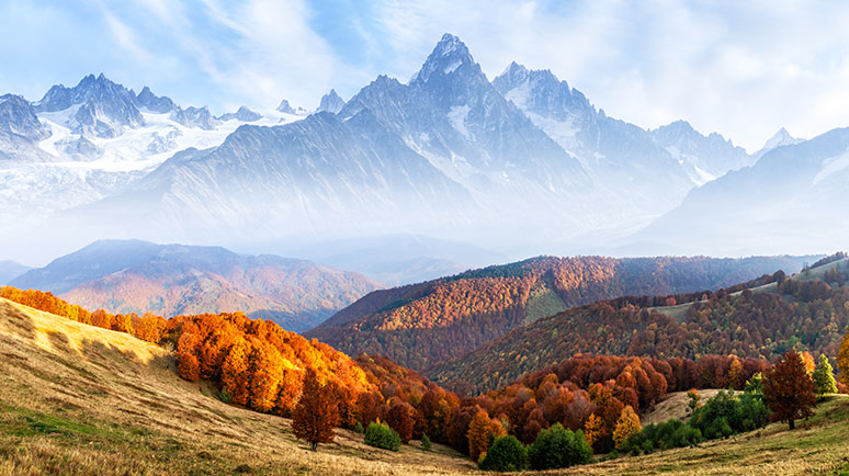 Das Bild zeigt einen Weitblick in ein bewaldetes Tal mit herbstlichen Tönen und einem mit Bergpanorama im Hintergrund.