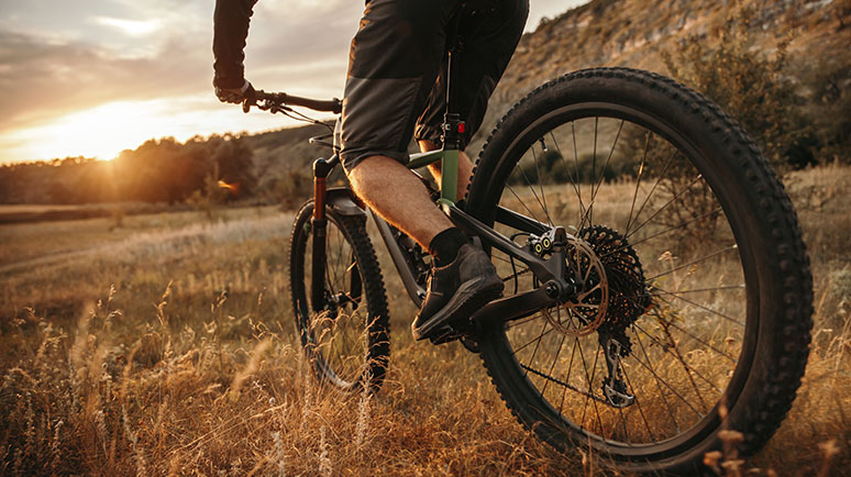 Auf dem Bild sieht man einen Mountainbike Fahren