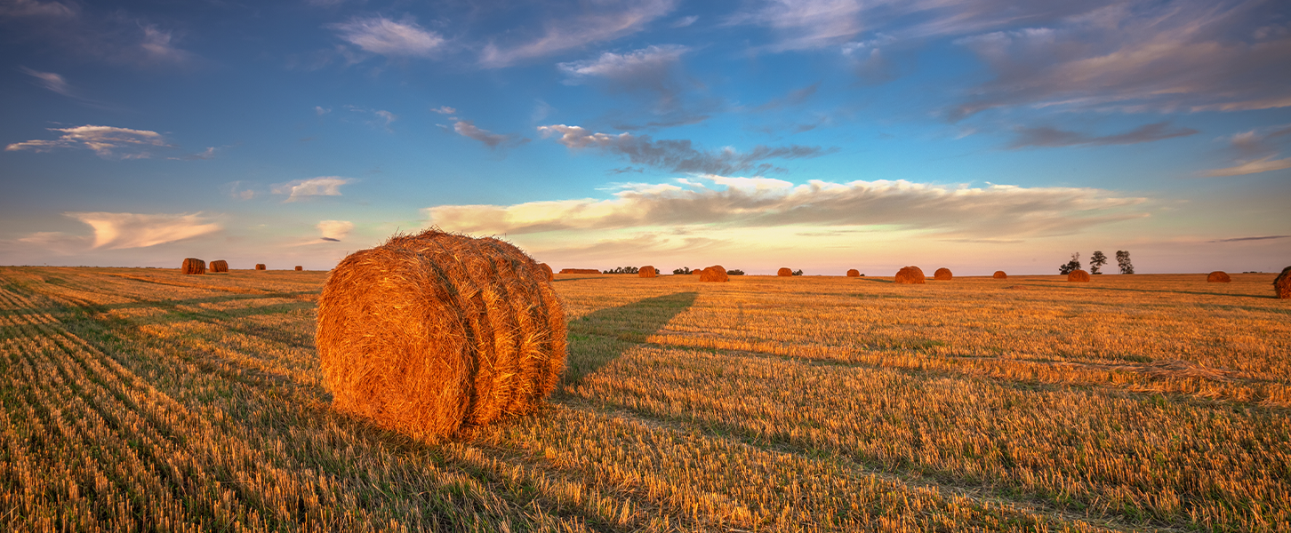 Blogbeitrag: Versorgung im Ruhestand - Strohballen auf einem Feld im Hochsommer -Headerbild