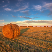 Blog Versorgung im Ruhestand, Heuballen auf einem Feld im Sommer - Teaserbild