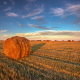 Blog Versorgung im Ruhestand, Heuballen auf einem Feld im Sommer - Teaserbild